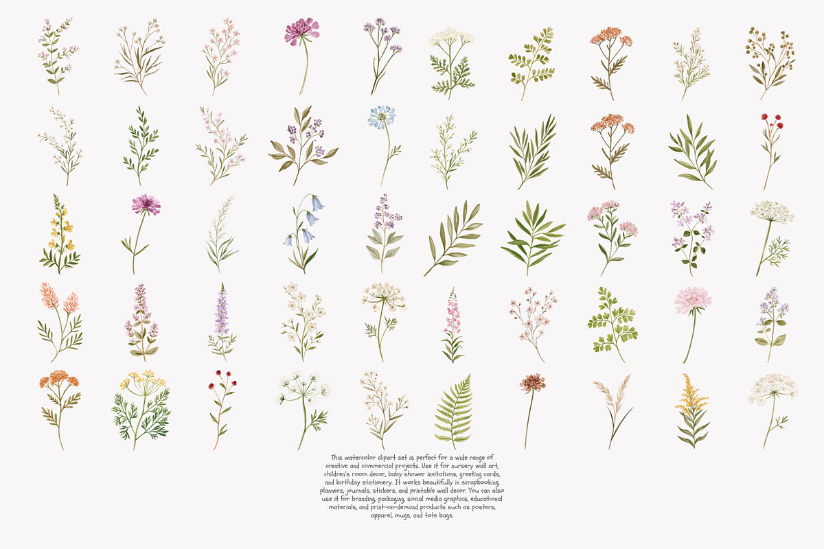 a wildflower meadow clipart set, a Decorative Illustration by Patishop Art (Photo 11 of 12)