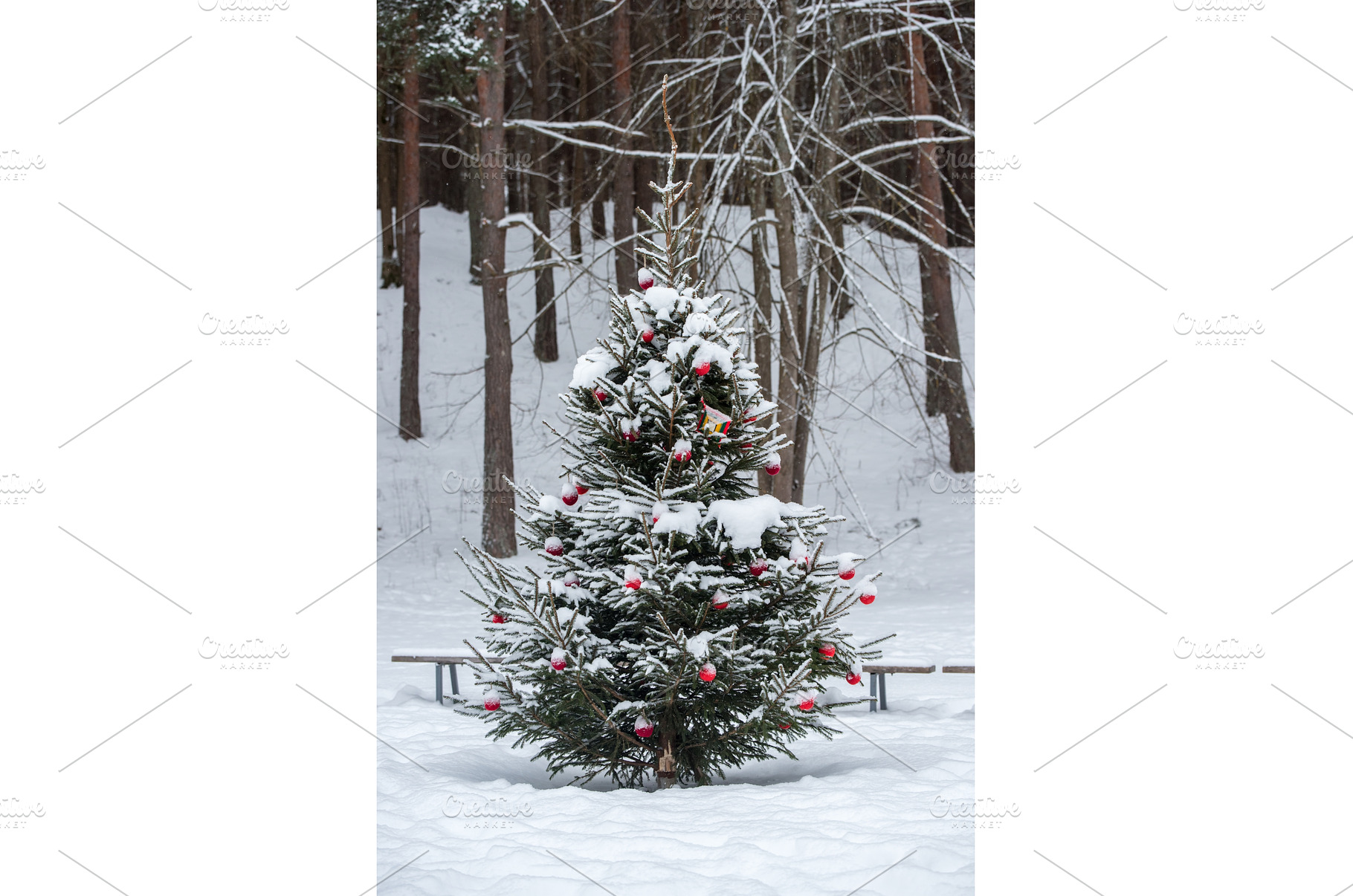Christmas tree was decorated with, a Holiday Photo by COLORFUL