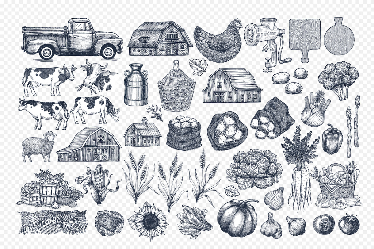Life is better on the Farm, an Animal Illustration by adehoidar (Photo 3 of 9)