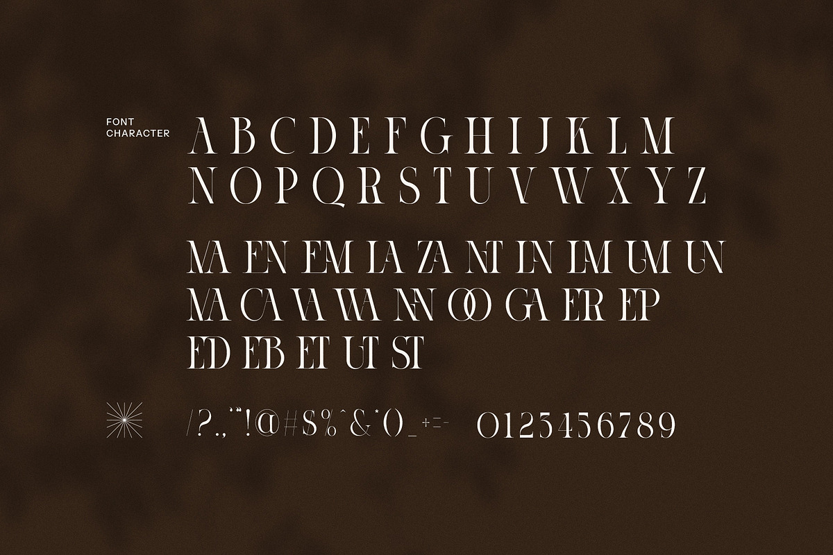 Cinema Authentic Elegant Serif Font, a Serif Font by Perfectype (Photo 8 of 8)