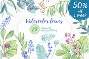 Watercolor leaves, berries, flowers, an Object Graphic by Irina Diasli (Thumbnail 1 of 6)