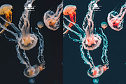 Sweet Lightroom Presets, an Action Add-On by Lavinsky Art Store (Thumbnail 13 of 14)