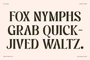 CS Susan – Classic Serif Font, a Serif Font by Craft Supply Co. (Thumbnail 7 of 8)