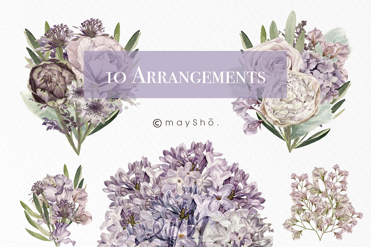 Lilac Purple Watercolor Flowers, an Illustration by May • SHO (Photo 8 of 13)