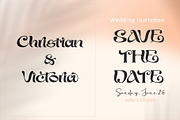 Agaste, a Serif Font by Letterara (Thumbnail 7 of 11)