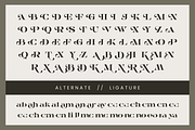 Alrays Bloom - Luxury Logo Font, a Serif Font by Nirmana Visual (Thumbnail 11 of 15)