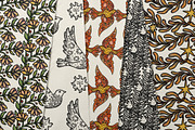 Boho Birds, an Animal Illustration by Ink Stories (Thumbnail 9 of 16)