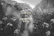 Letter Beads - Alphabet Bead Font, a Font by Dynamo Ultima (Thumbnail 2 of 9)