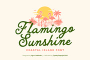 Flamingo Sunshine Coastal Font, a Handwritten Font by Tyasify (Thumbnail 1 of 9)
