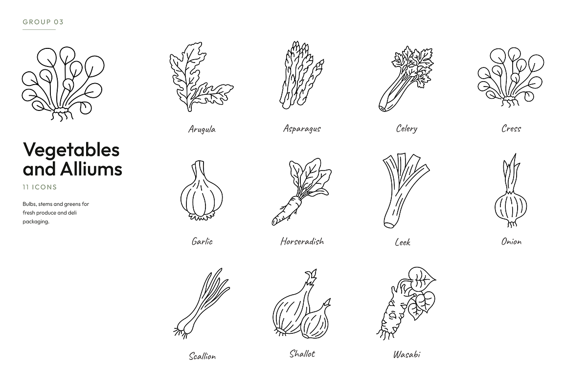 180 Botanical Ingredient Line Icons, an Outline Icon by Ilia Design (Photo 4 of 13)