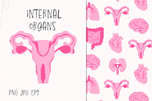 Internal organs, a Healthcare Illustration by Twisted Tail
