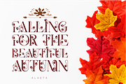 Alketa Nature Font, a Serif Font by 177Studio (Thumbnail 5 of 8)