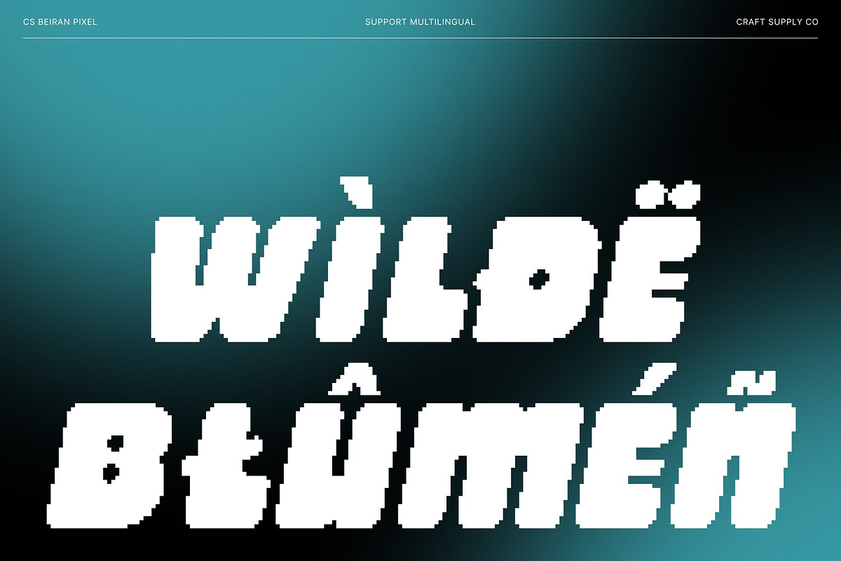 CS Beiran Pixel, a Sans Serif Font by Craft Supply Co. (Photo 6 of 8)
