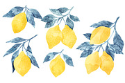Lemons Blue Leaves, a Food Illustration by Helga Wigandt (Thumbnail 2 of 8)