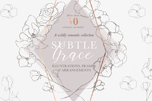 Graceful Floral Illustrations Bundle