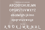 Adikara, a Serif Font by MustofaCreative (Thumbnail 4 of 4)