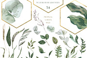 FLORISTA Huge Floral Collection, an Illustration by Cat In Colour (Thumbnail 10 of 14)