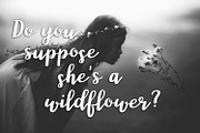 Wonderland, modern calligraphy font, a Script Font by Rachel White Art (Thumbnail 11 of 11)