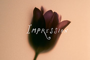 Flowers Under Wet Glass Backgrounds, a Background Graphic by Lana Elanor (Thumbnail 5 of 18)