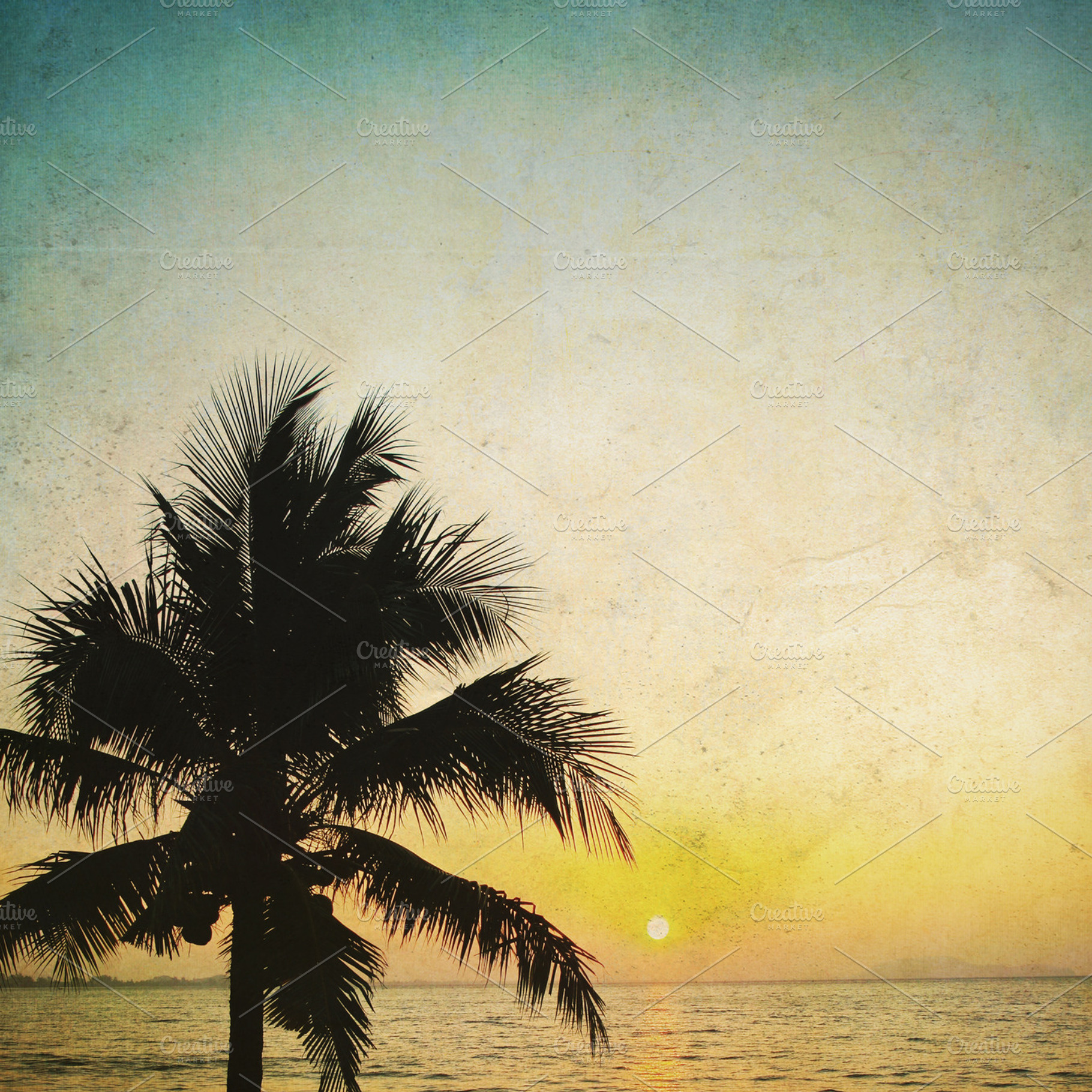 Coconut Palm Tree And Sunrise