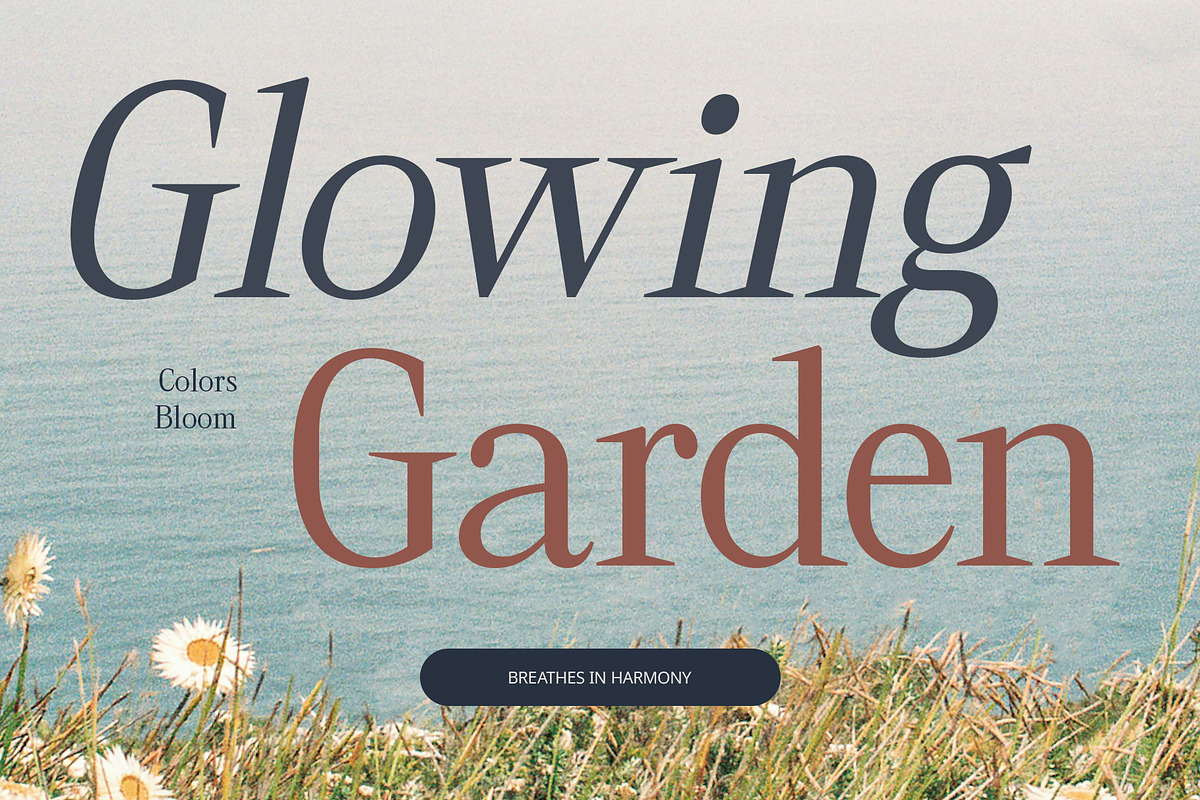 CS Cartage – Contemporary Font, a Serif Font by Craft Supply Co. (Photo 2 of 8)