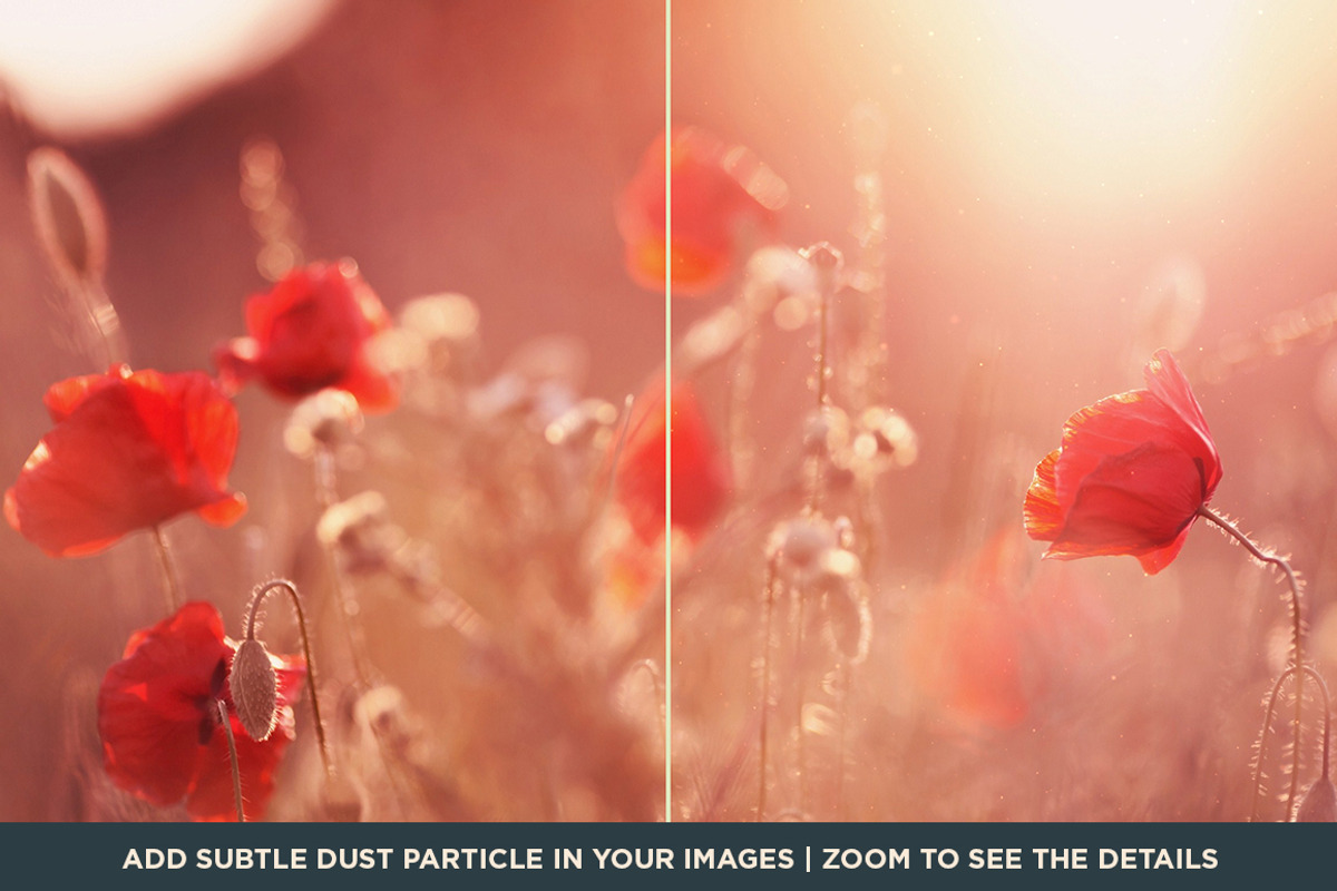 Floating Dust Overlay Subtle Effect preview 3