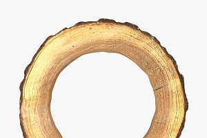 Wood Log Ring