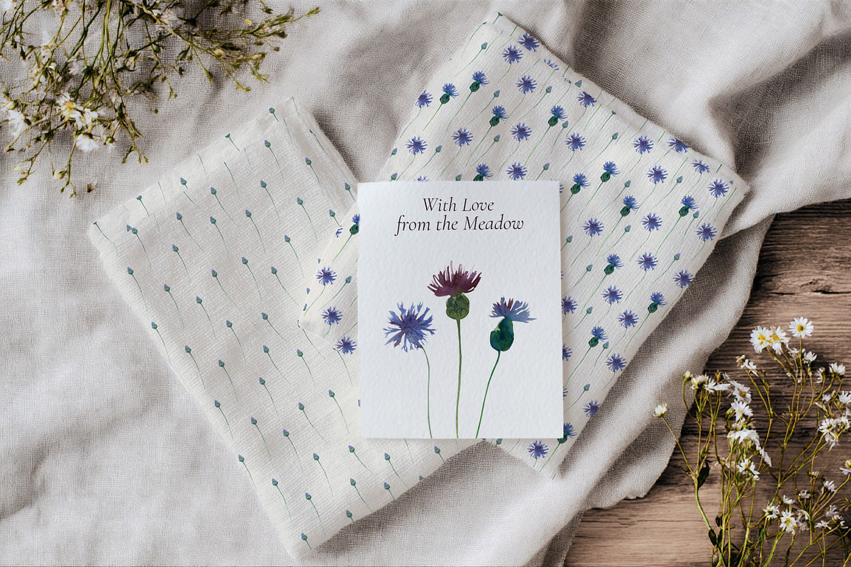 Wildflower Watercolor Collection, a Decorative Illustration by Anna Druzhkova (Photo 13 of 23)