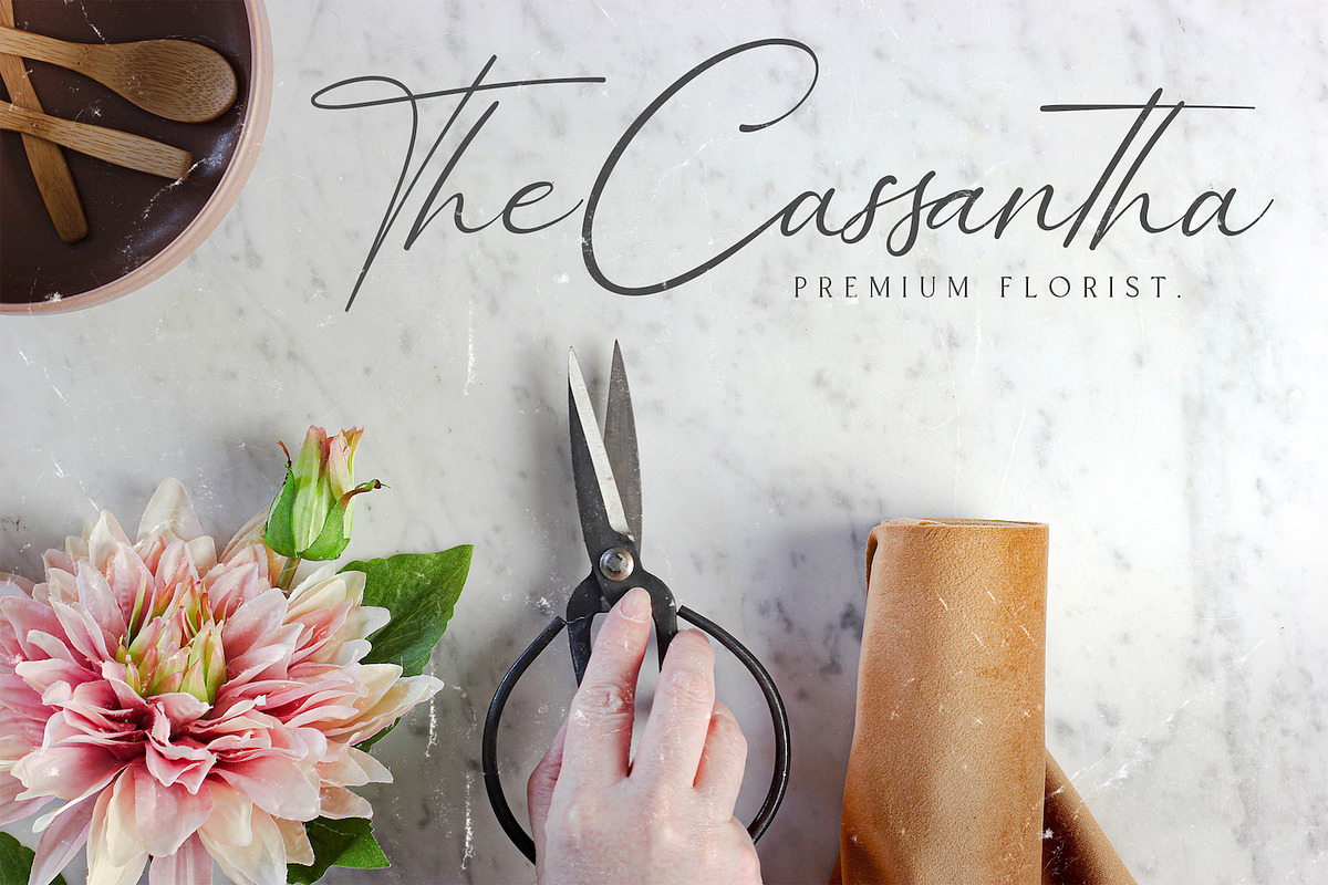 Bellamy Signature - Handwritten Font, a Script Font by StringLabs (Photo 11 of 13)