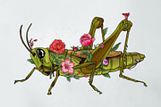 Grasshopper modern illustration, an Illustration by Infinity Creativity (Thumbnail 3 of 4)