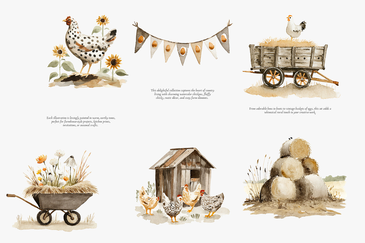 watercolor rustic hens barnyard bird, an Illustration by Patishop Art (Photo 3 of 8)