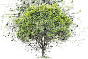 Nature Song Photoshop Action V01 preview 3