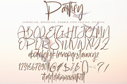 Parthey, a Script Font by pineungtype (Thumbnail 10 of 10)
