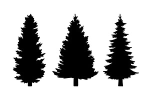 Black Silhouettes Of Fir Trees On A