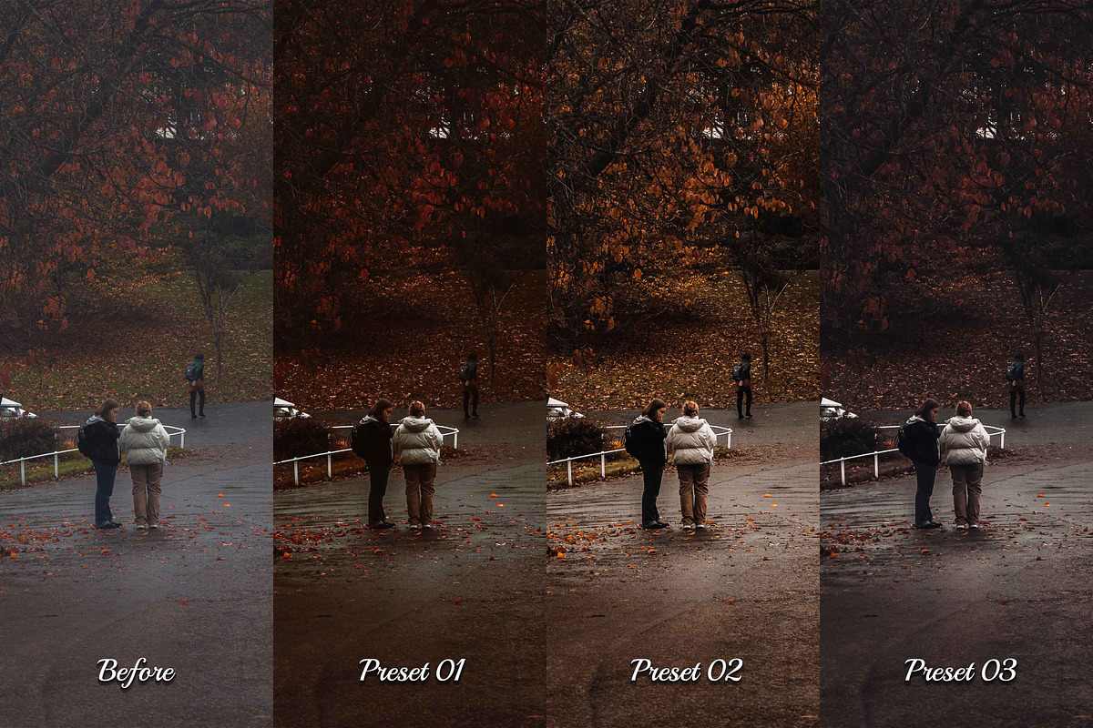 30 Rainy Fall Lightroom Collection, a Preset Add-On by 3Motional (Photo 5 of 11)