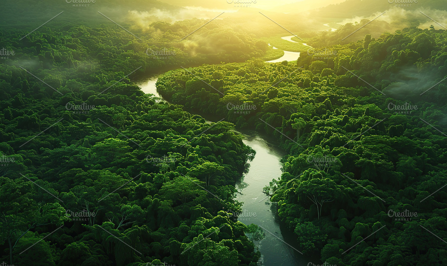 Winding river in the green jungles, a Nature Photo by AlyaAnd