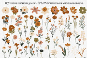 Botanical Garden. Floral Collection, a Decorative Illustration by ApetekMarket (Thumbnail 2 of 12)