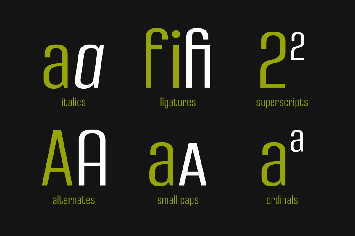 Densa Font Family, a Sans Serif Font by Graviton Font Foundry (Photo 6 of 6)