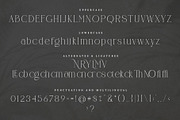 CANOVER | Ligature Serif, a Serif Font by ToniStudio (Thumbnail 10 of 11)