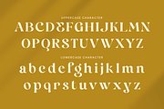 Egola - Elegant Luxury Font, a Serif Font by Sensatype (Thumbnail 10 of 12)