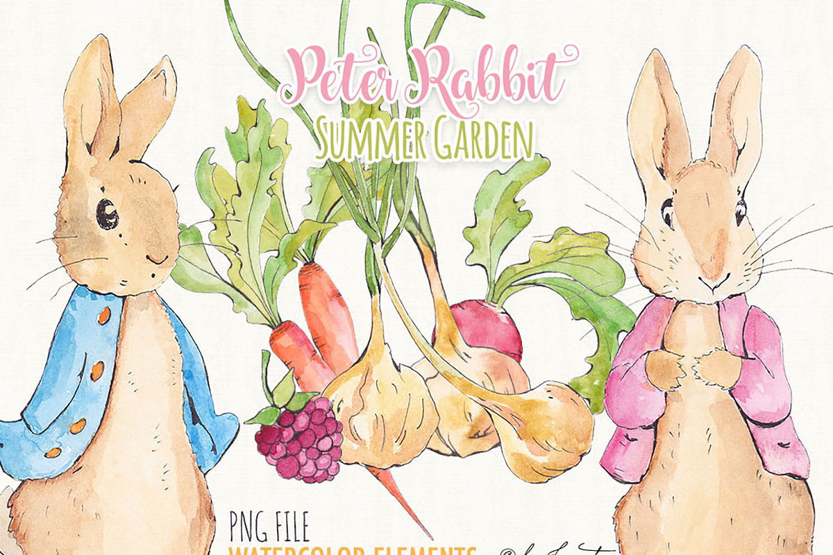 Peter Rabbit - Summer Garden, an Illustration by helloPAPER (Photo 3 of 3)