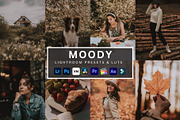 500+ Lightroom Presets & Luts, a Preset Add-On by presetsroom (Thumbnail 9 of 18)