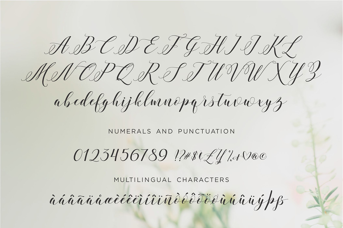 Verbatim Calligraphy Script PRO preview 4
