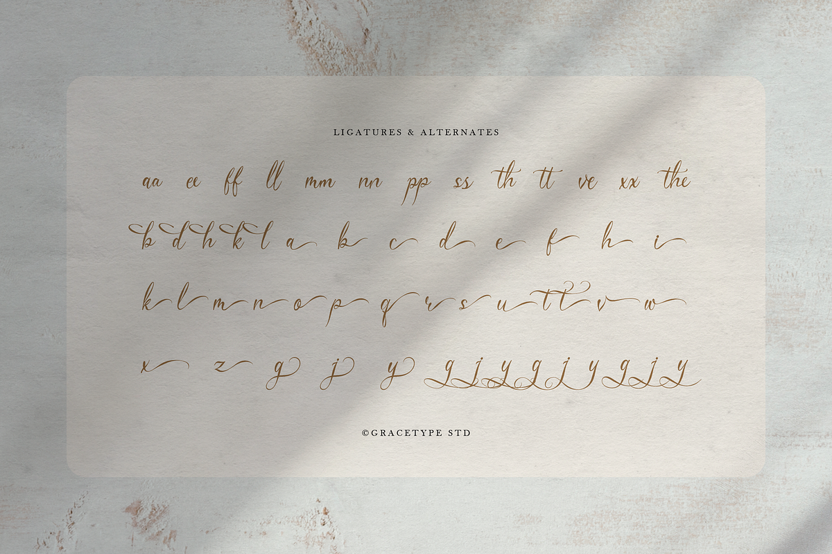 Del Lante Elegant Calligraphy Script, a Script Font by gracetype_studio (Photo 11 of 12)