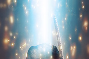 Glory Photoshop Action preview 3