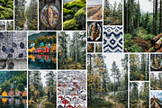 278 Nordic Lifestyle images, a Nature Photo by Handmadefont (Thumbnail 5 of 25)