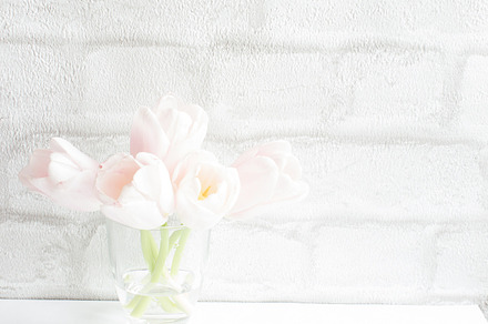 Tulips Minimal Stock Photo, a Background Photo by Rose Wine Aesthetic