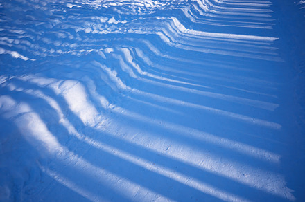 Winter tree shadows on white snow backdrop, a Nature Photo by RETROWAVE '88