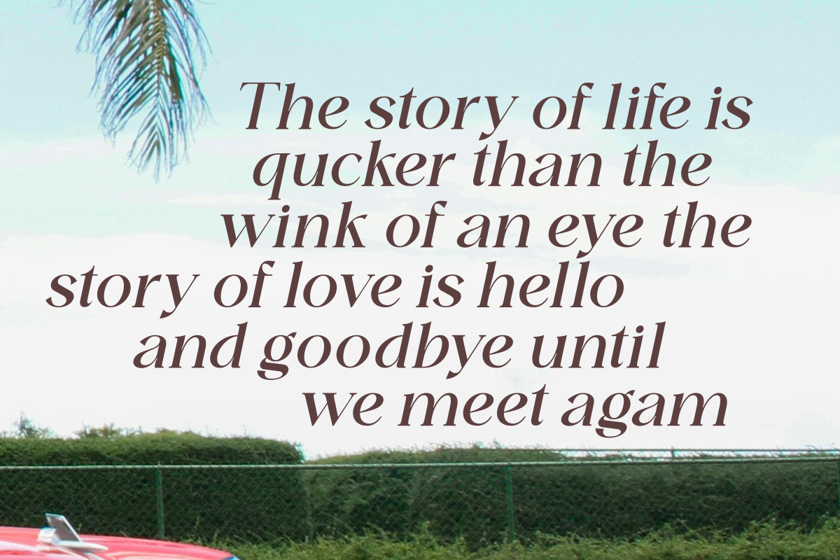 Domilla, a Serif Font by zaaintype (Photo 4 of 12)