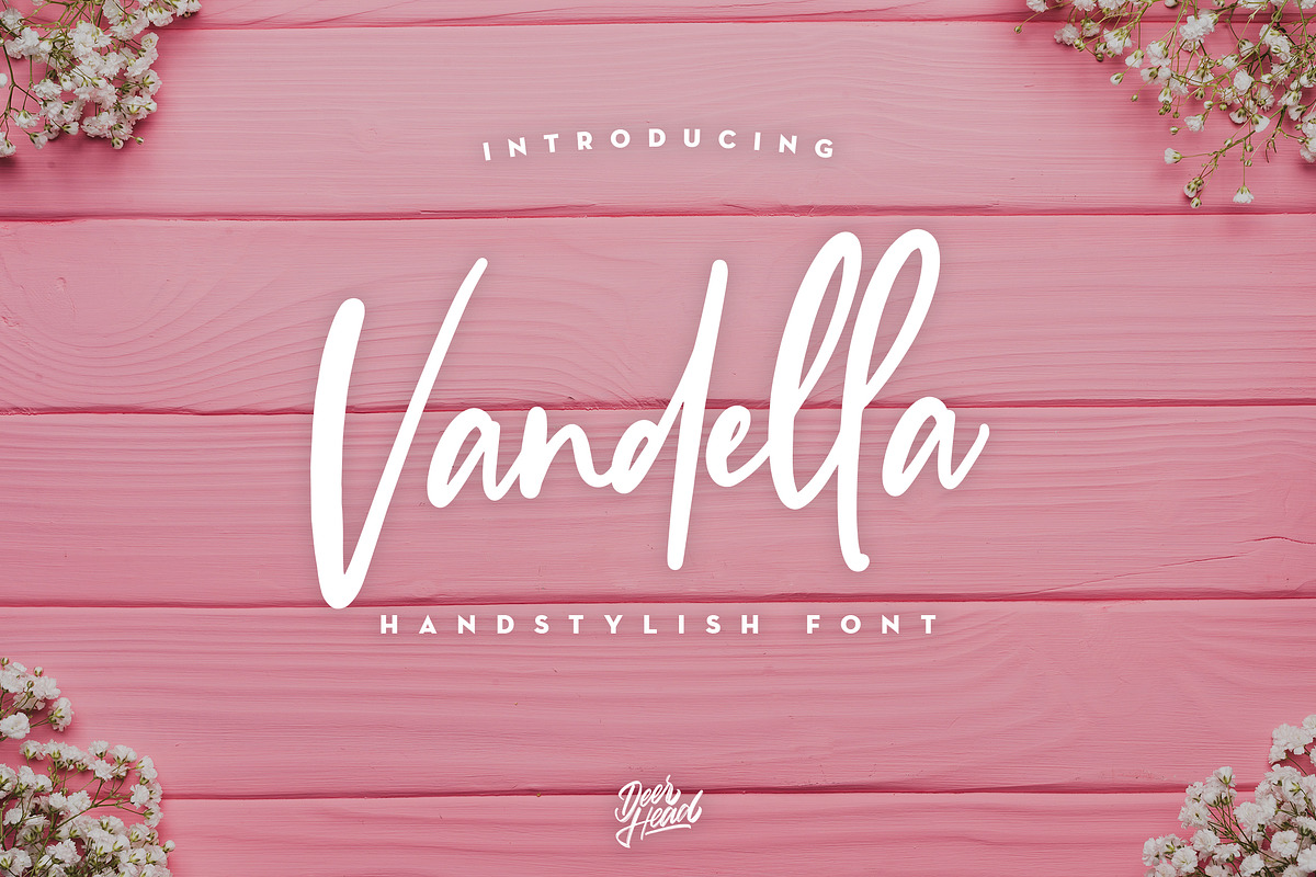 Vandella Handstylish Font, a Script Font by Alif Devan R. (Photo 1 of 7)